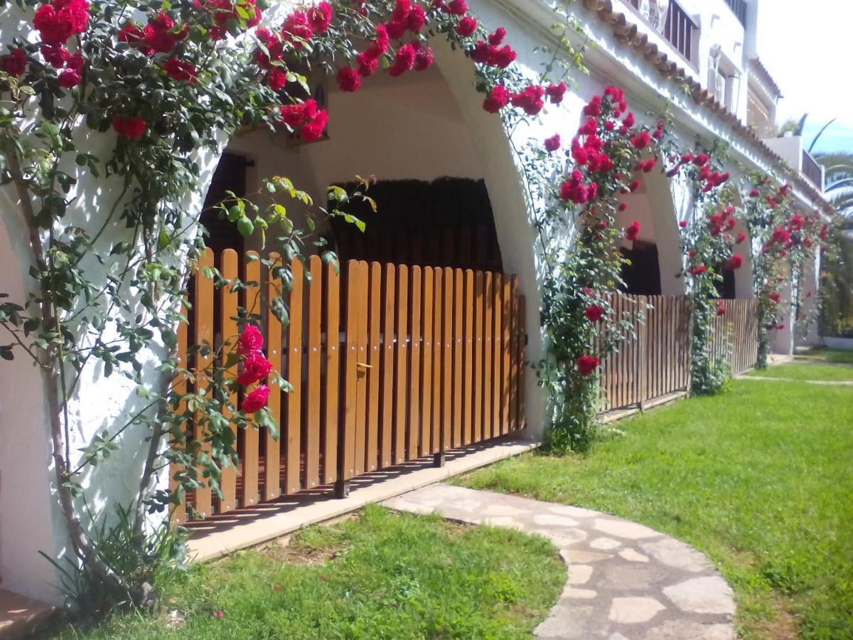 Apartamentos Alcossebre "El Faro Apartaments Alcossebre" Piscina, Playa Y Diversion エクステリア 写真