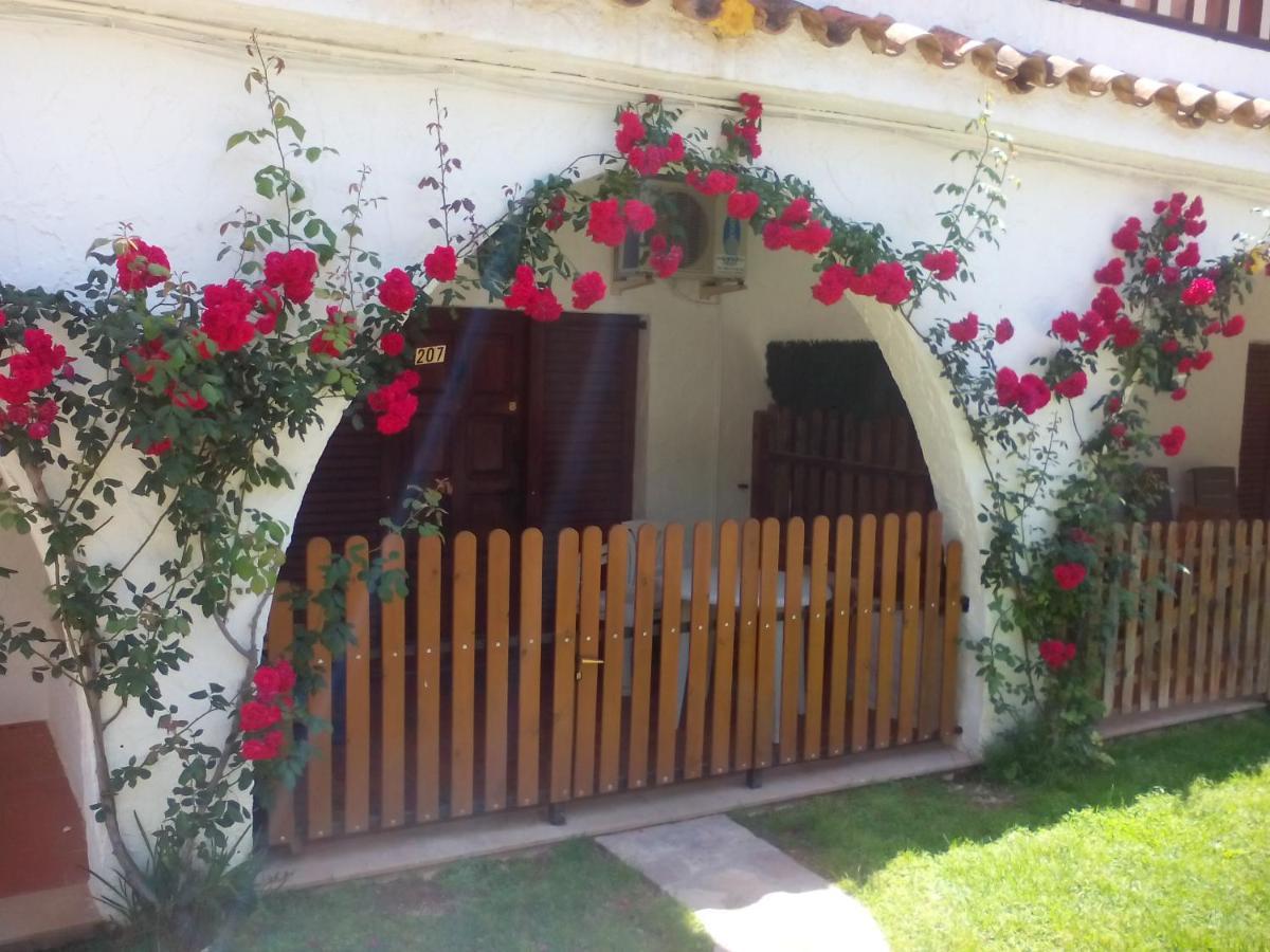 Apartamentos Alcossebre "El Faro Apartaments Alcossebre" Piscina, Playa Y Diversion エクステリア 写真